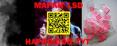 гидропоника Новозыбков