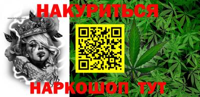 гидропоника Новозыбков