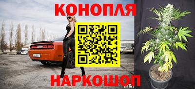 гидропоника Новозыбков