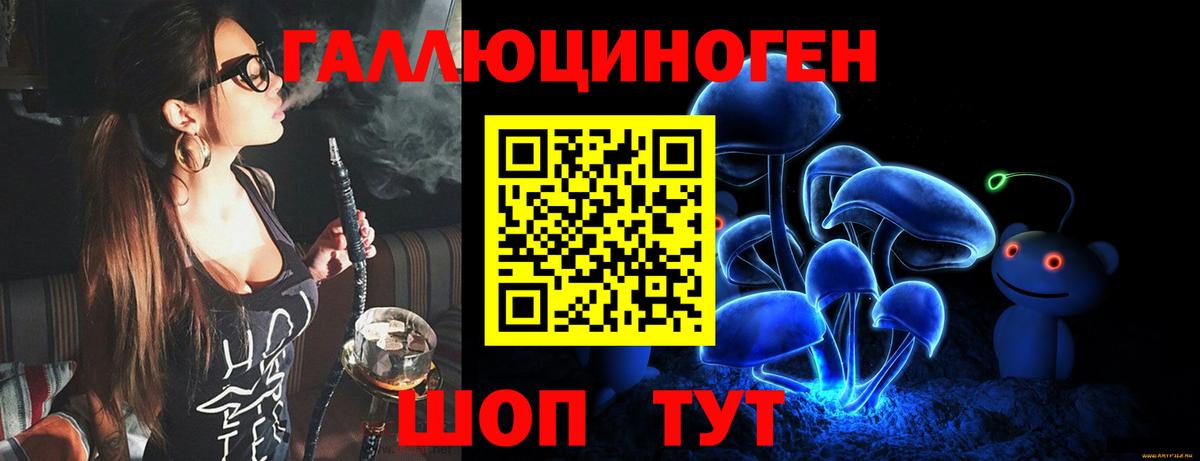 Обь  Псилоцибиновые грибы мухоморы  Вход с VPN 